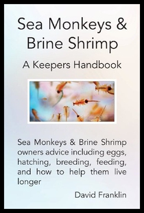 【预售】Sea Monkeys & Brine Shrimp: Sea Monkeys & Brine S
