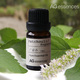 10ml原380元 AGessences Oil Essential 广藿香单方精油Patchouli