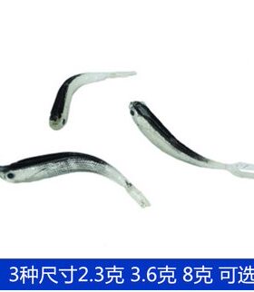 渔具仿真鱼食路亚饵