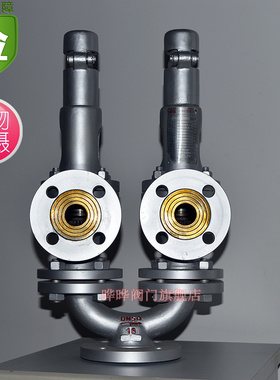 A38H A38Y -25C双联弹簧式安全阀 DN40~DN150