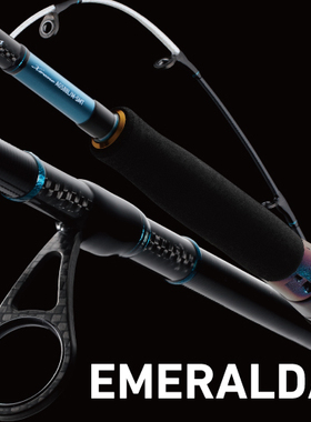 Daiwa EMERALDAS EX AGS 86ML-S 88L/M-SMT 89M-S 89MH-T 鱿鱼竿