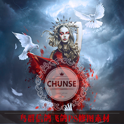 PNG鸽子鸟群飞鸟创意情绪欧美人像PS修图合成PS素材S4