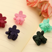 Xin Mei mini grab clip children catch clip 5 Pack to grab tiara hair accessories hair clip