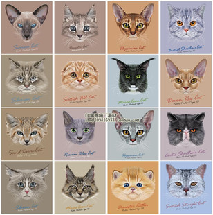 18P EPS格式 矢量设计素材 超萌可爱猫咪插画肖像写实手绘图案