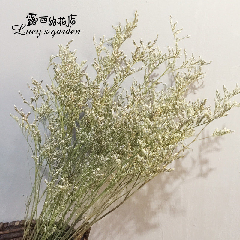 热销情人草永生花自然风干花束家居摆设真花拍摄道具客厅装饰品在类目 家居饰品, 花瓶/花器/仿真花/仿真饰品, 干花/花瓣/干花包/干树枝中 - 来自Buy2taobao.com提供专业的淘宝代购服务