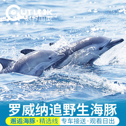 巴厘岛罗威纳追海豚看日出火山温泉海神庙kuber漂流spa包车一日游