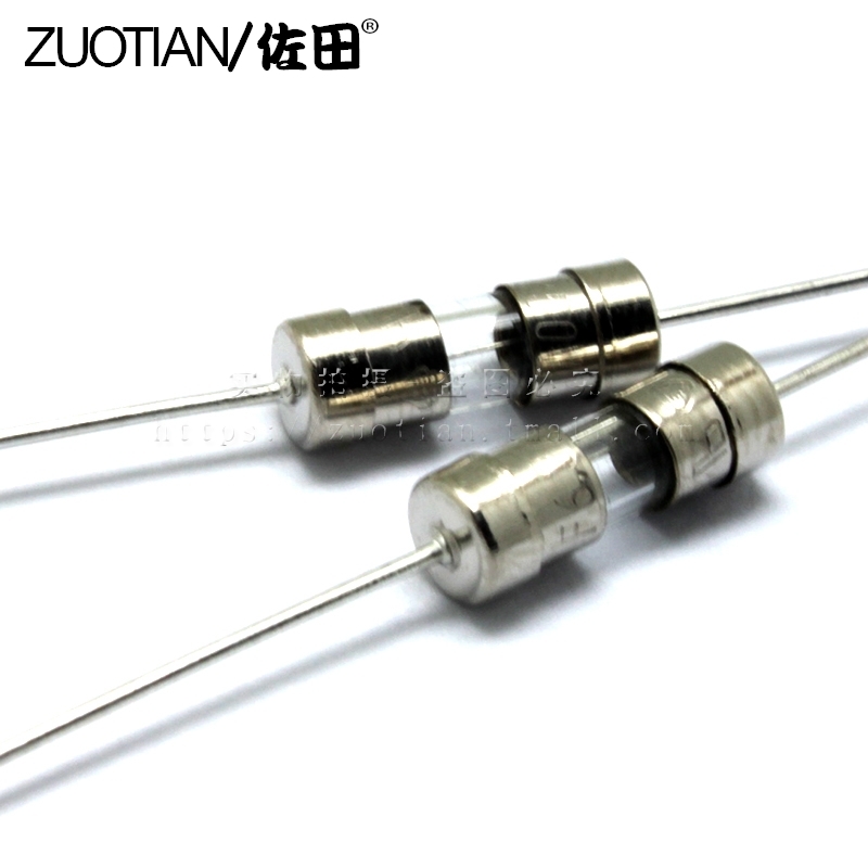 3.6*10保险丝 2A 250V快断 F2000MA 带引线/引脚保险丝（20只）