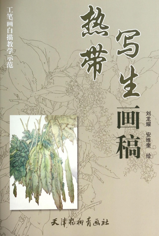 热带写生画稿(工笔画白描教学示范) 正版书籍 木垛图书 书籍/杂志/报纸 绘画（新） 原图主图