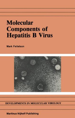 【预售】Molecular Components of Hepatitis B Virus