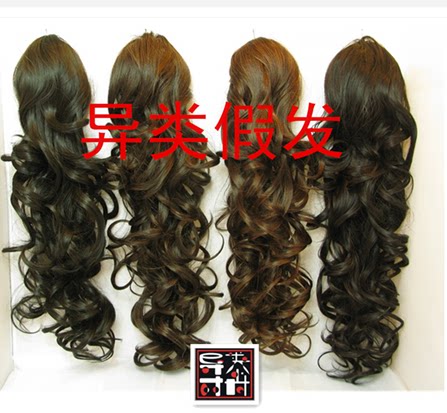 Extension mèches - Ref 220324 Image 1