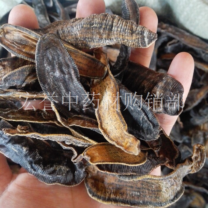 水蛭 中药材 蚂蝗 马鳖 肉钻子 正品 足干500克