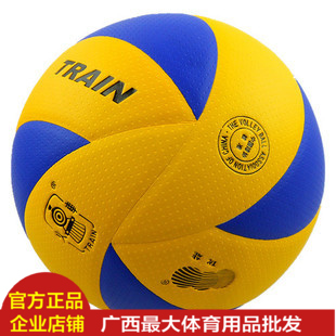 Ballon de volley - Ref 2009898 Image 1