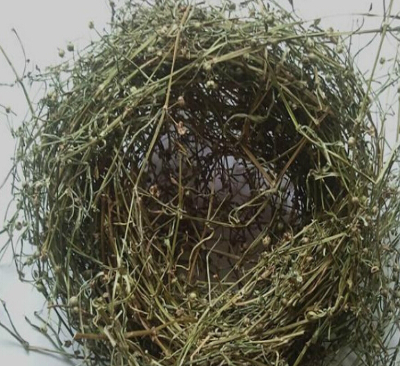 云乡云南野生整珠 白花蛇舌草 百花蛇舌草 白花十字草龙舌草500克在类目 传统滋补营养品, 养生茶中 - 来自Buy2taobao.com提供专业的淘宝代购服务
