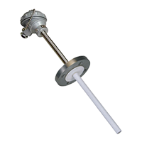 WZPN2-230-F耐腐型热电阻 WZPN2-230F WZ系列双支耐腐型热电阻