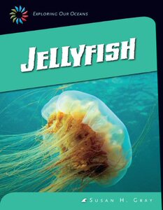 【预售】Jellyfish