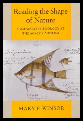 美国库房发货，通常付款后5-8周到货！