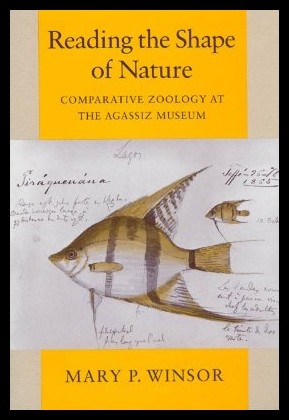 美国库房发货，通常付款后5-8周到货！