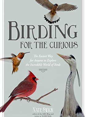 【预售】Birding for the Curious: The Easiest Way for A...