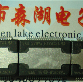 TA2021B TA2021 HSSOP-36 TRIPATH 原装正品供应