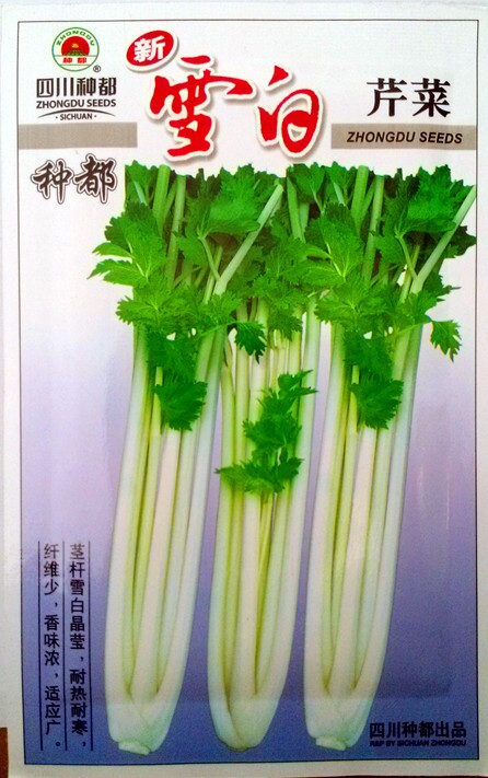 种都雪白芹菜种子 彩芹 金黄芹 香芹 西芹 大叶芹菜 野生芹菜图片