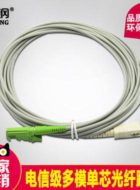 波钢E2000/APC-SC/UPC多模50/125单芯铠装光纤跳线电信级长度可定制62.5/125