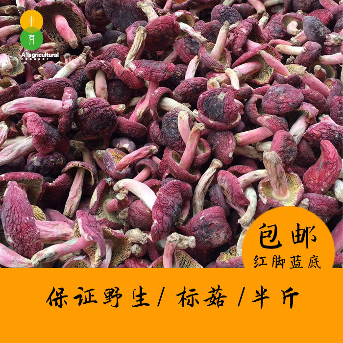 红菇红菌云南普洱大红菇红椎菌月子红脚标菇250g非福建武夷山