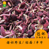红菇红菌云南普洱大红菇红椎菌月子红脚标菇250g非福建武夷山