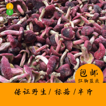 红菇红菌云南普洱大红菇红椎菌月子红脚标菇250g非福建武夷山