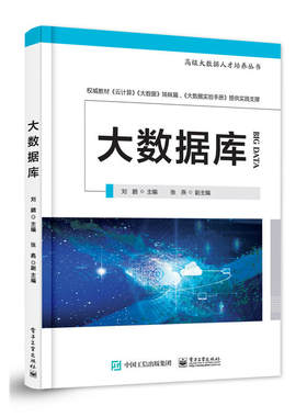当当网 大数据库—高级大数据人才培养丛书 刘鹏 电子工业出版社 正版书籍