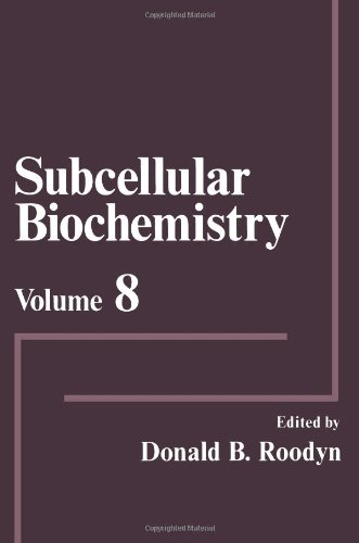 美国库房发货，通常付款后5-8周到货！