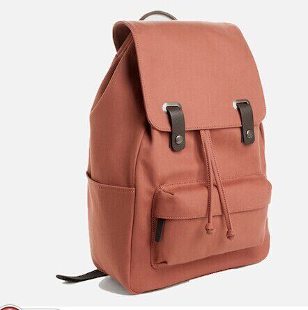 EVERLANE 男士帆布双肩包 旅游 逛街 出门百搭圣品 多色入