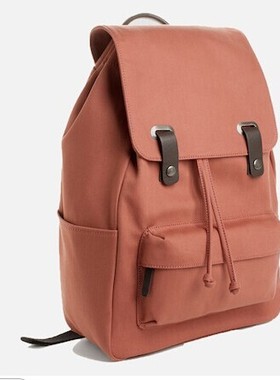 EVERLANE 男士帆布双肩包 旅游 逛街 出门百搭圣品 多色入