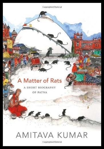 美国库房发货，通常付款后5-8周到货！