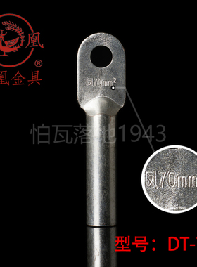 凤凰 镀锡堵油式铜接头 DT-70MM2铜鼻子 接线端子 B级 一只价