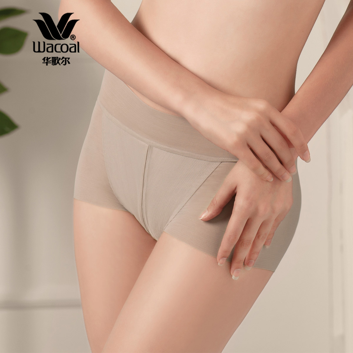 Body WG5023 - Ref 667183 Image 1