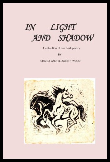 【预售】In Light and Shadow: A Selection of Our Best Poem