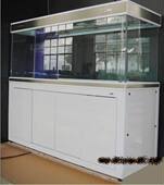 彩蝶龙潭新兵 超白鱼缸 1.8米