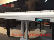 Grand piano hệ thống chơi tự động thẳng đứng piano tự động hệ thống gốc cài đặt toàn quốc - dương cầm