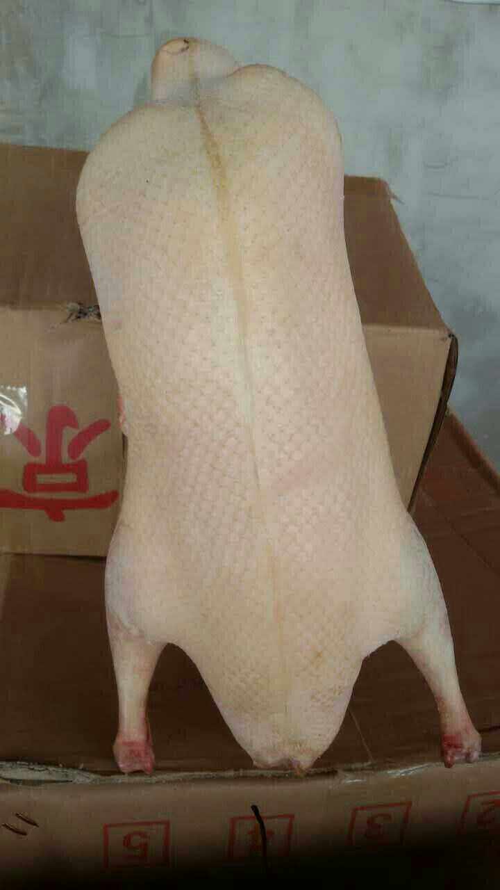 北京烤鸭樱桃谷鸭坯填鸭酥不腻冻鸭 烤鸭挂钩面皮面饼烤鸭片皮鸭