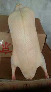 北京烤鸭樱桃谷鸭坯填鸭酥不腻冻鸭 烤鸭挂钩面皮面饼烤鸭片皮鸭