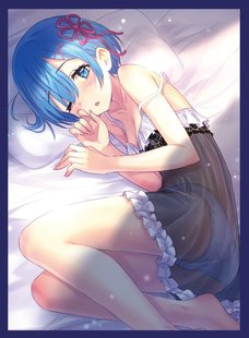 Re0:从零开始的异世界生活雷姆蕾姆COMIC1会场限定卡套现货