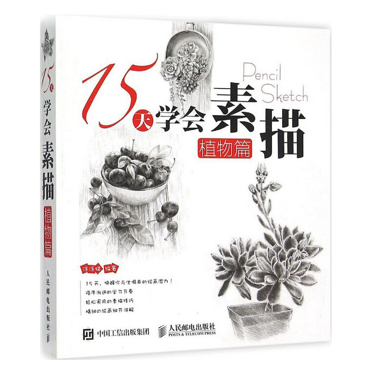 15天学会素描 植物篇 植物素描绘制步骤技巧教程 植物素描绘画入门书