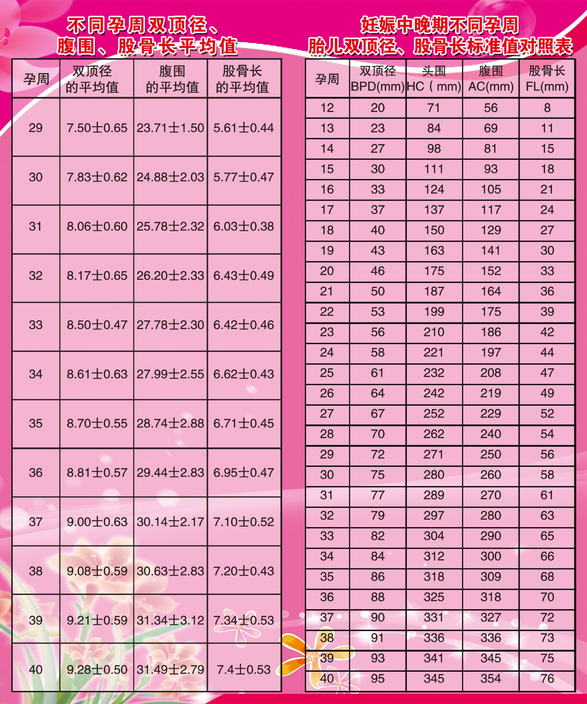 双顶径孕周对照表图片图片