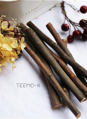 teemo窝龙猫松鼠兔子苹果枝100g