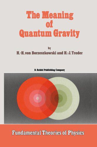 【预订】The Meaning of Quantum Gravity