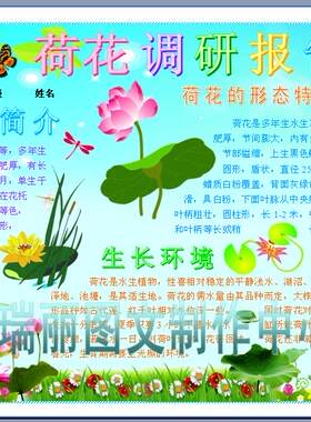 荷花调查报告植物观察日记动物彩色小报科学手抄报科技板报模板50