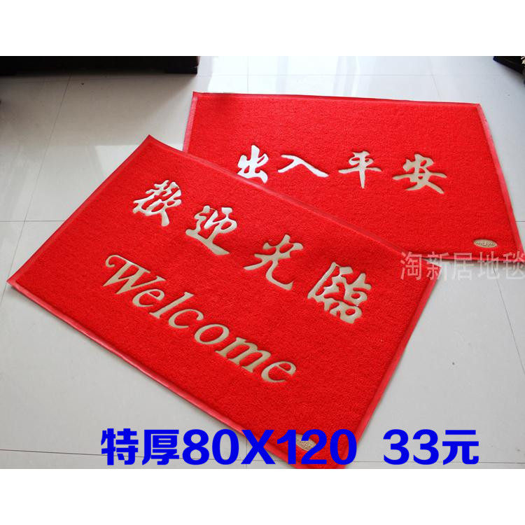 特厚除尘蹭土进门门厅丝圈地垫