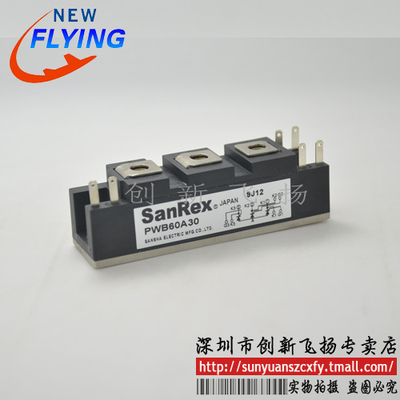 PWB60A30功率模块电源模块SUNYUANSZ一级代理全新原装