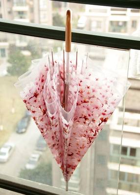 日本唯美浪漫樱花透明印花长柄伞