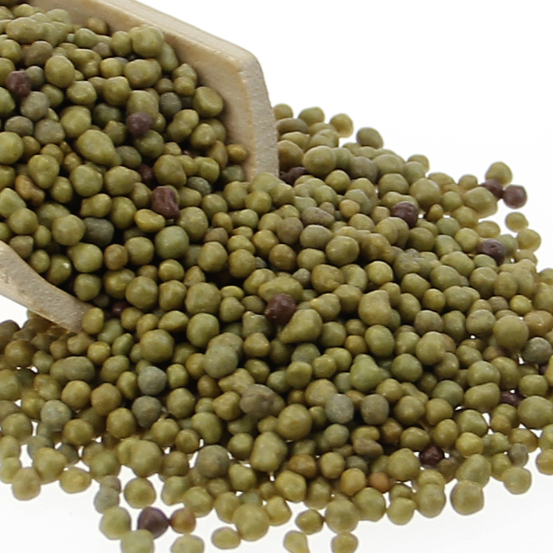 The flower gardening Austrian green manure A2 Slow-release fertilizer Bulbous Succulent plants Fertilizer Granular fertilizer 325S flowers and plantsin the Flower delivery/Flowers simulation/Plants gardening , Gardening supplies , Gardening Fertilizer/Nutrient/Nutrient solution  category - from Buy2taobao.com to provide professional Taobao agent buy service